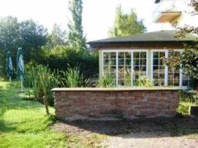 Magnolia 3* Rödermark